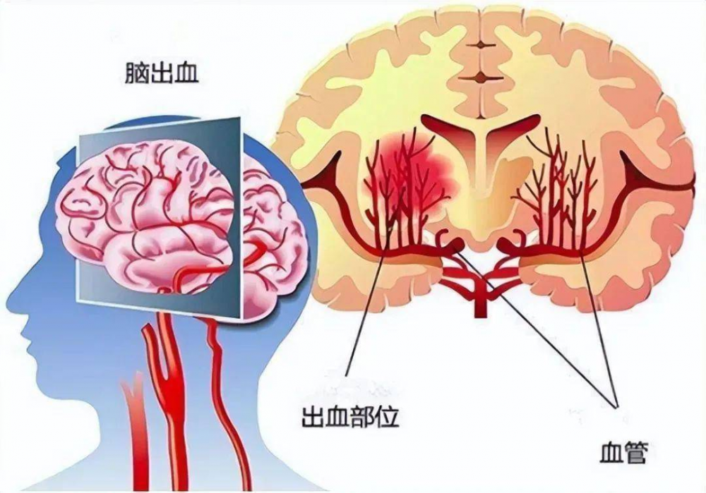 微信圖片_20230509161502